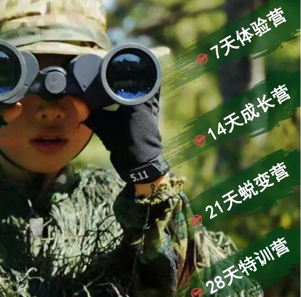 篮球训练内容文字描述_2